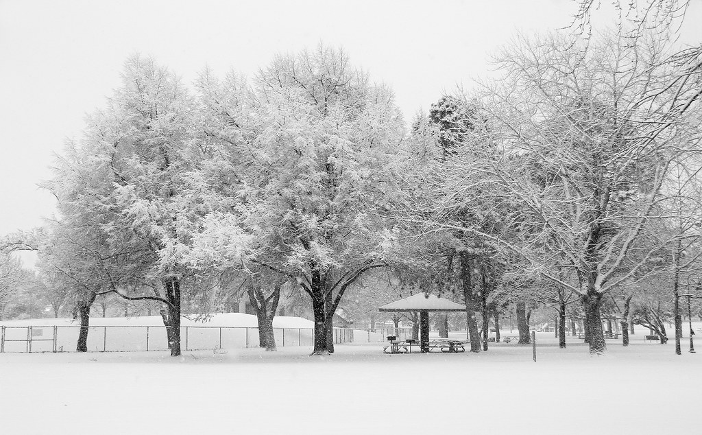 Will we see a White Christmas this year? | weatherTAP Blog